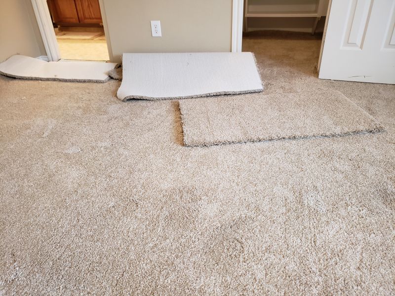 Carpet Restretching in Alpharetta, GA