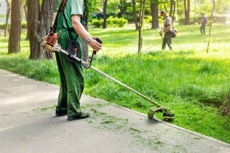 Carpet Trimming