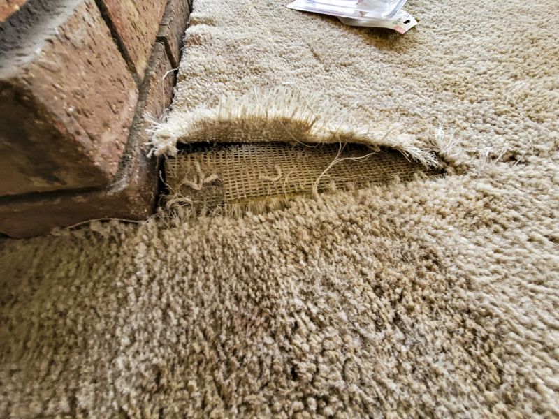 Pet Stain Carpet Repair in Alpharetta, GA